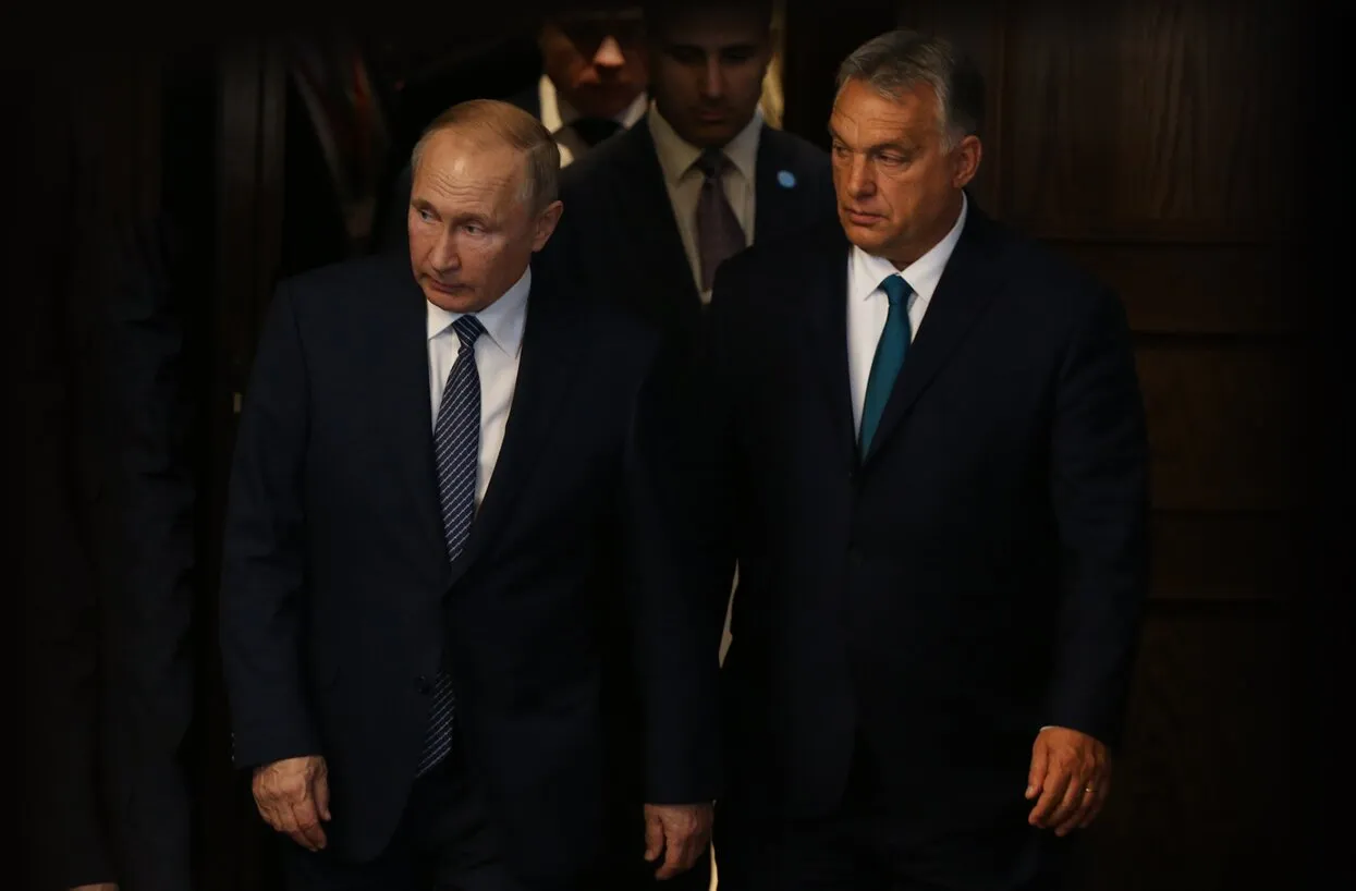 Mikhail Svetlov / Getty Images 